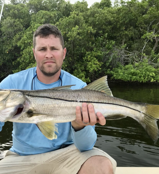 Big fish in Tampa Bay